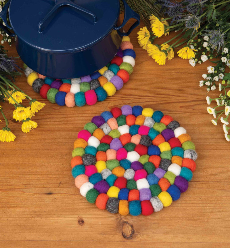 Rainbow Felt Trivet