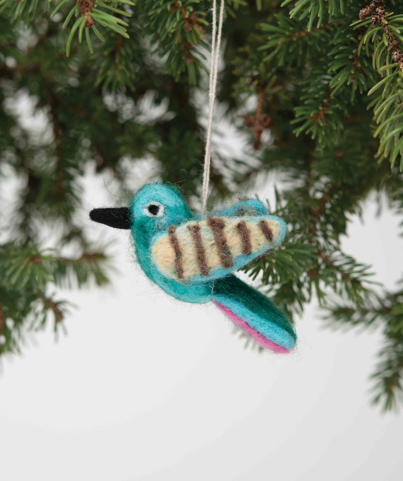 Bird Hummingbird