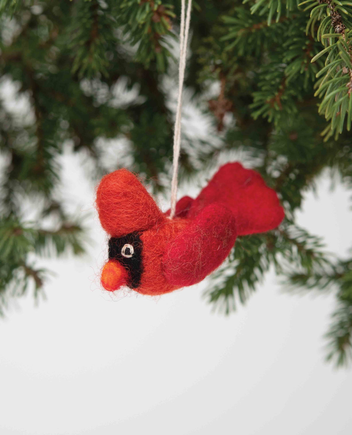 Bird Cardinal