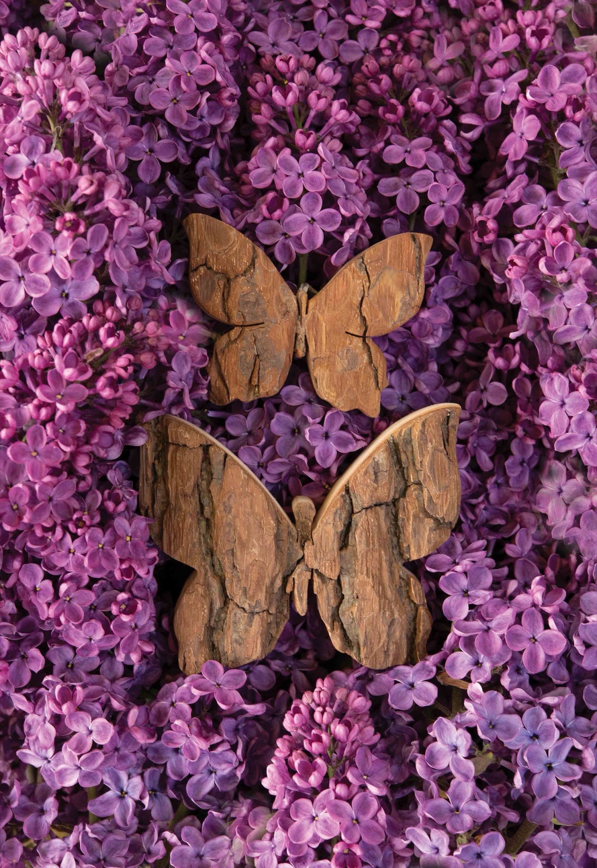 Bark Wood Butterfly