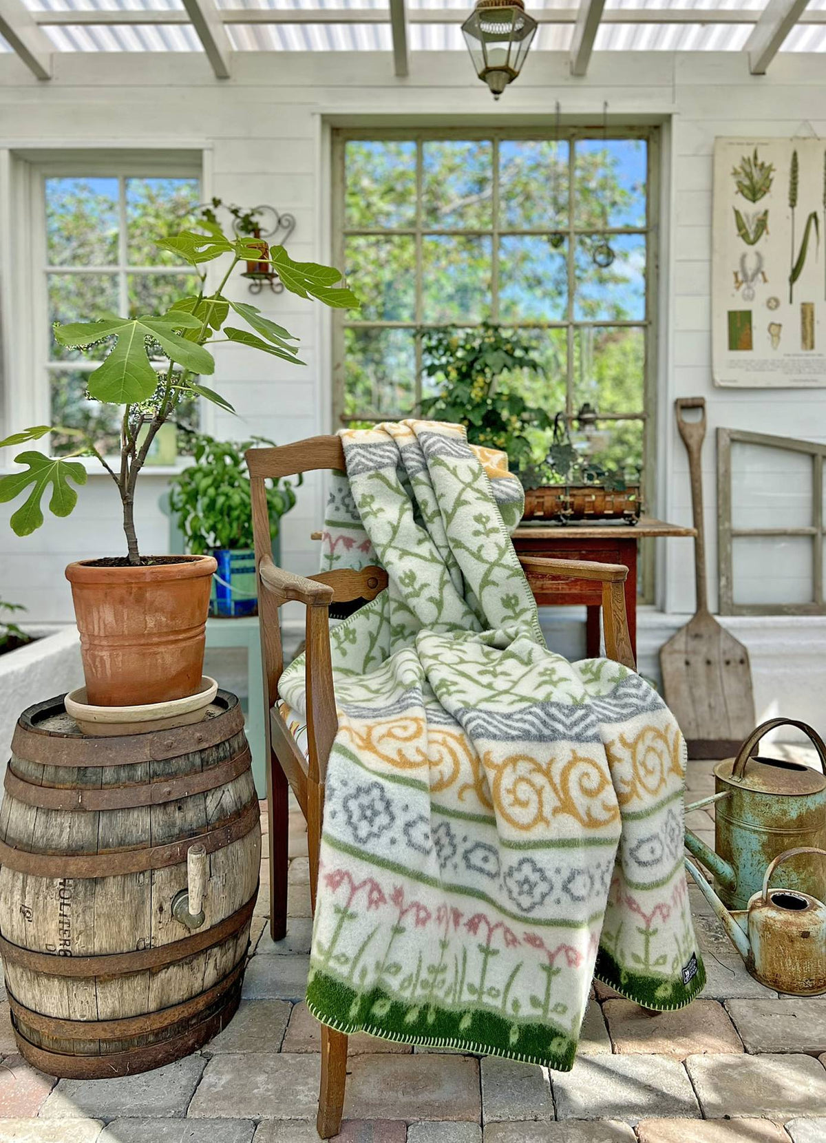 Blanket-linnaeus