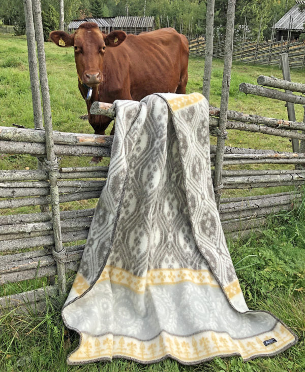 Blanket-brownkulla